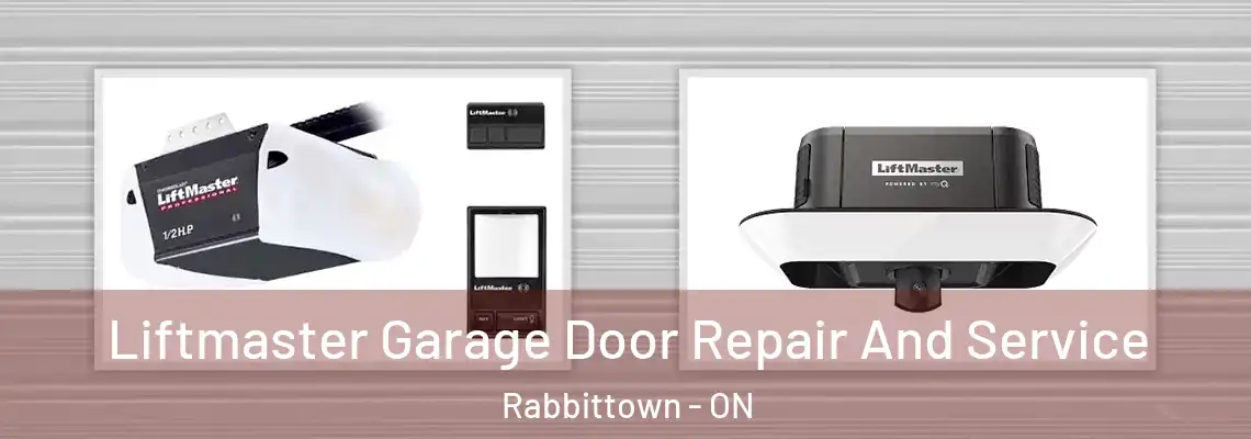 Liftmaster Garage Door Repair And Service Rabbittown - ON