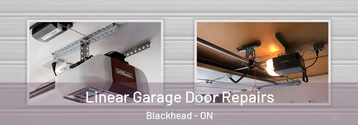 Linear Garage Door Repairs Blackhead - ON