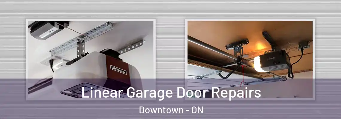 Linear Garage Door Repairs Downtown - ON