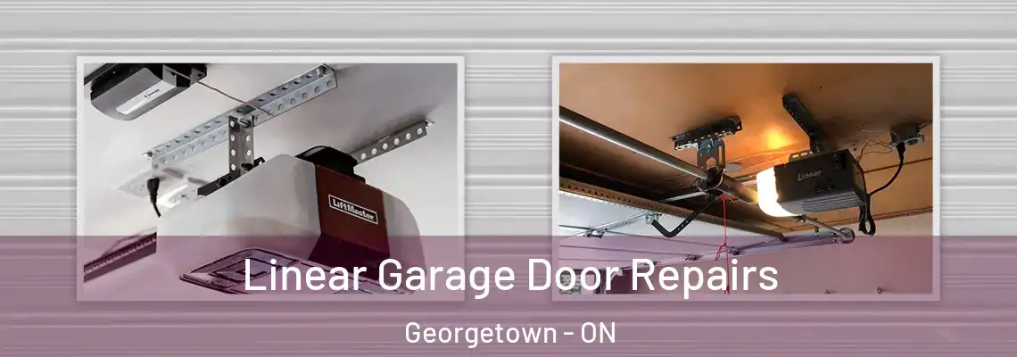 Linear Garage Door Repairs Georgetown - ON