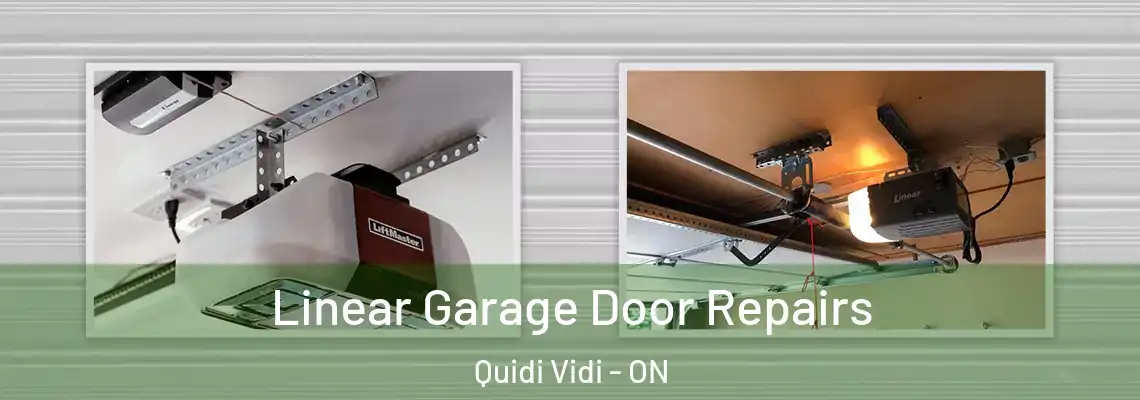 Linear Garage Door Repairs Quidi Vidi - ON