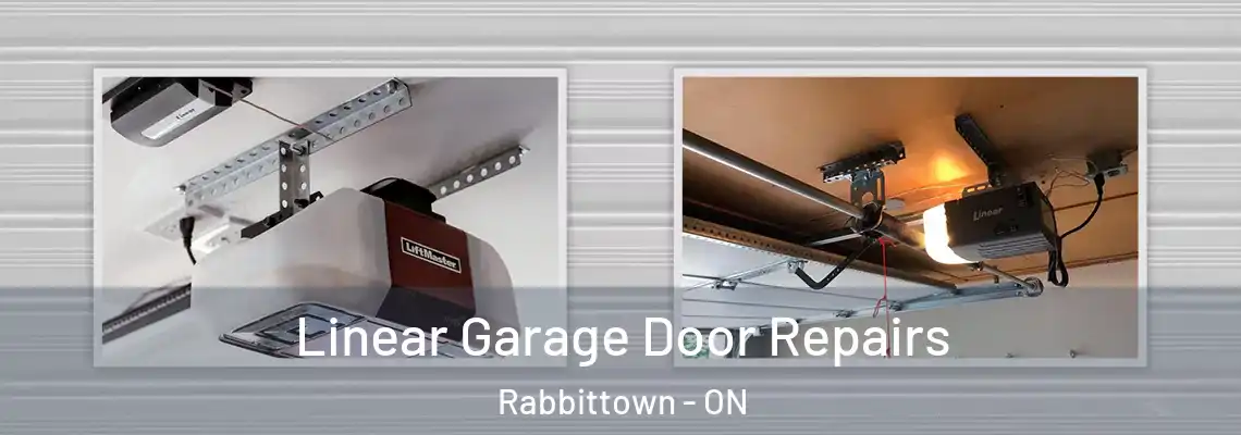 Linear Garage Door Repairs Rabbittown - ON
