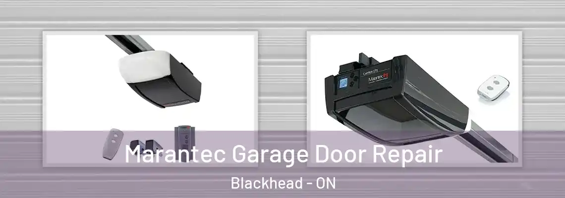 Marantec Garage Door Repair Blackhead - ON