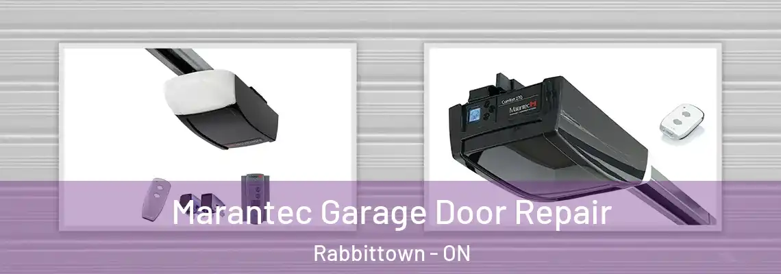 Marantec Garage Door Repair Rabbittown - ON