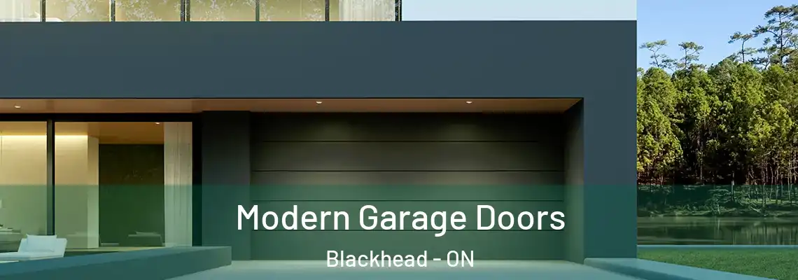 Modern Garage Doors Blackhead - ON