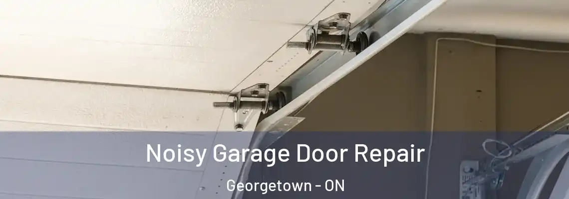 Noisy Garage Door Repair Georgetown - ON
