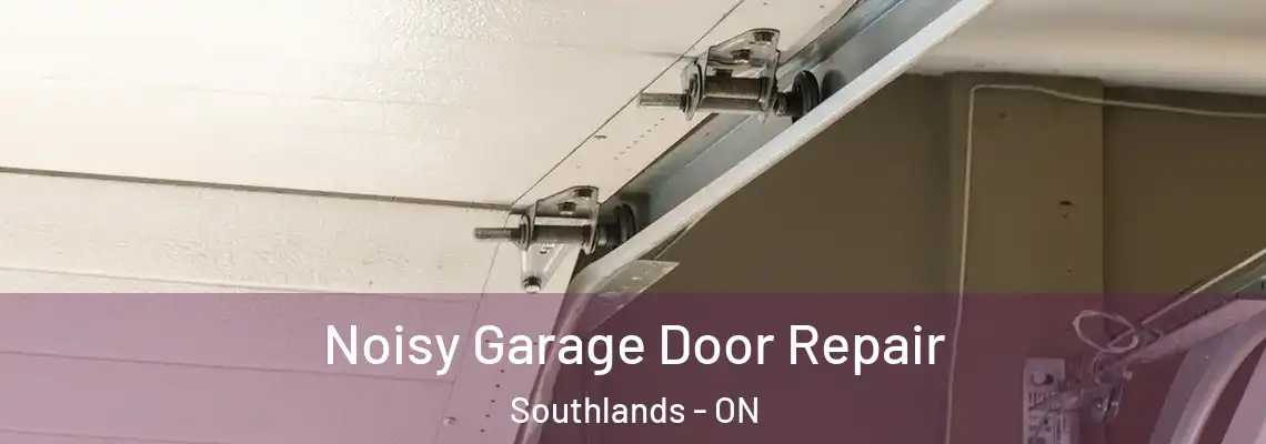 Noisy Garage Door Repair Southlands - ON