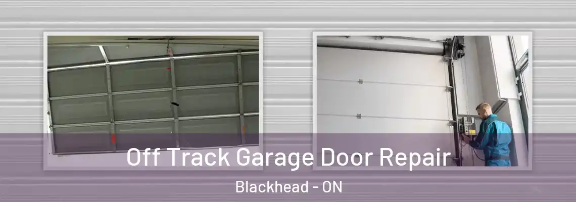 Off Track Garage Door Repair Blackhead - ON
