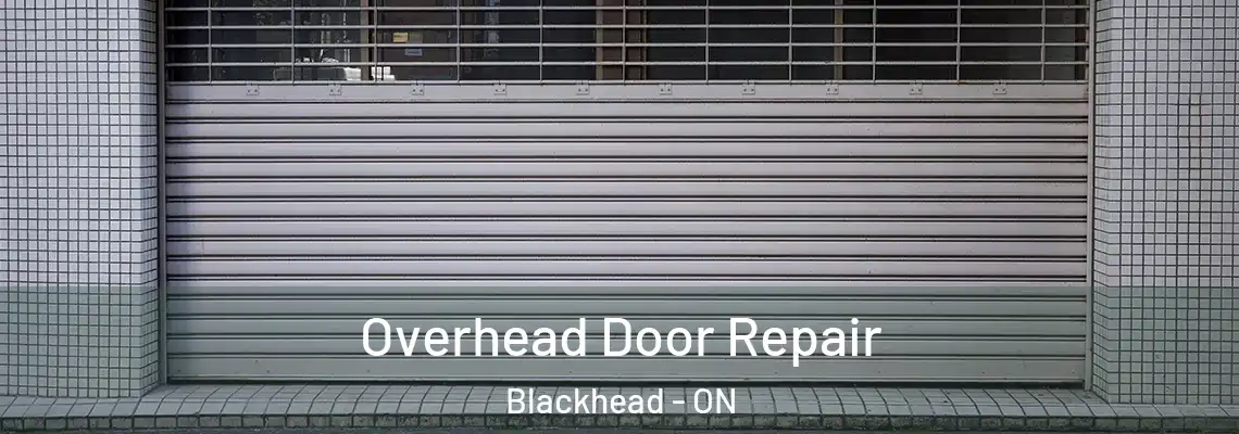Overhead Door Repair Blackhead - ON
