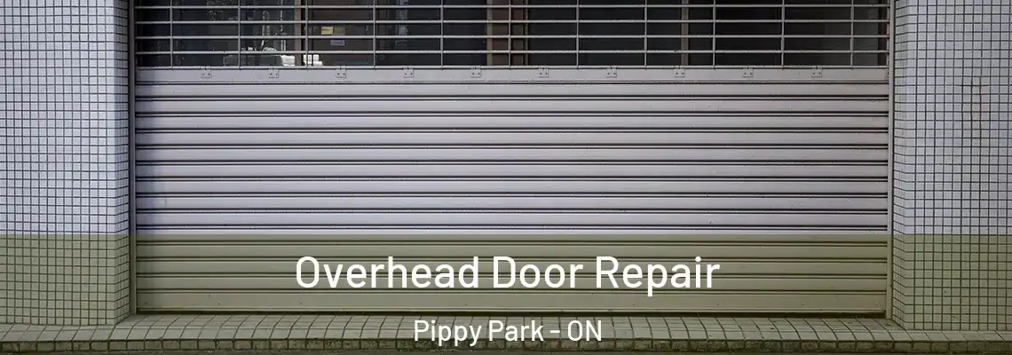 Overhead Door Repair Pippy Park - ON