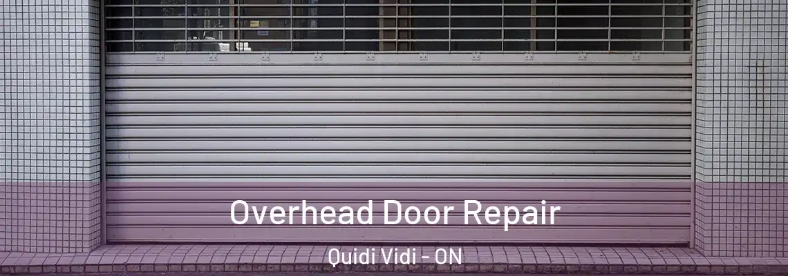 Overhead Door Repair Quidi Vidi - ON