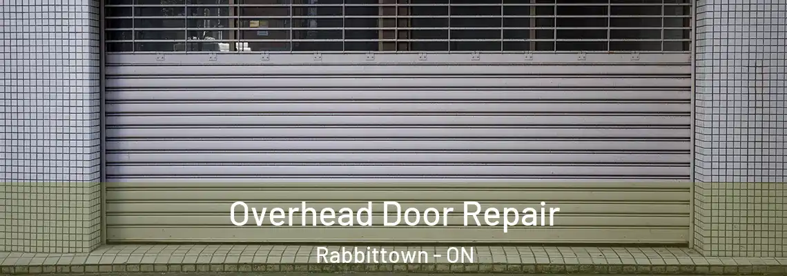 Overhead Door Repair Rabbittown - ON