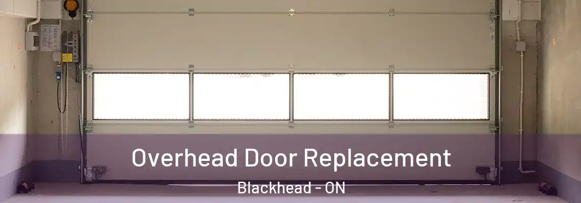 Overhead Door Replacement Blackhead - ON