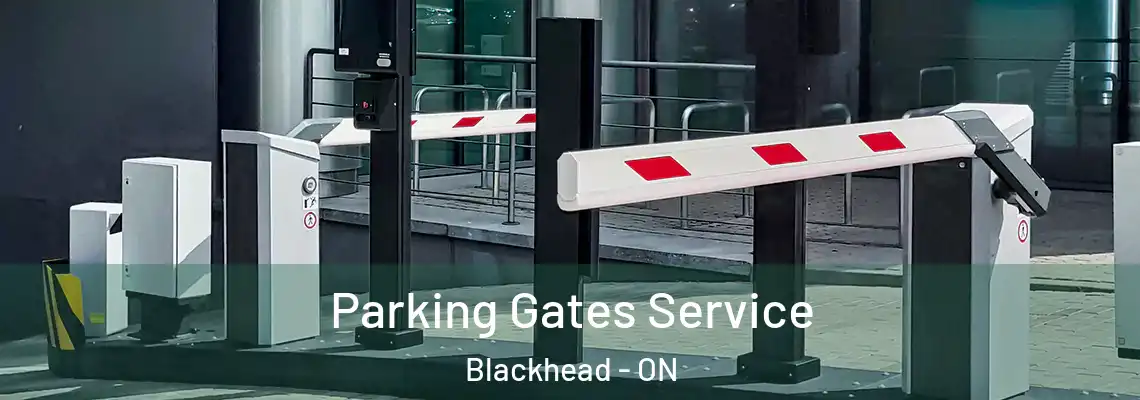 Parking Gates Service Blackhead - ON
