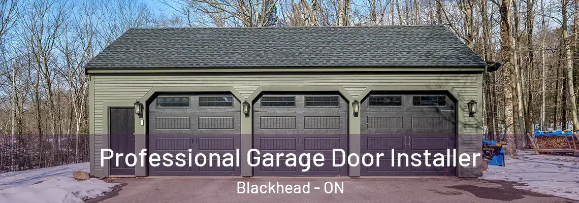 Professional Garage Door Installer Blackhead - ON