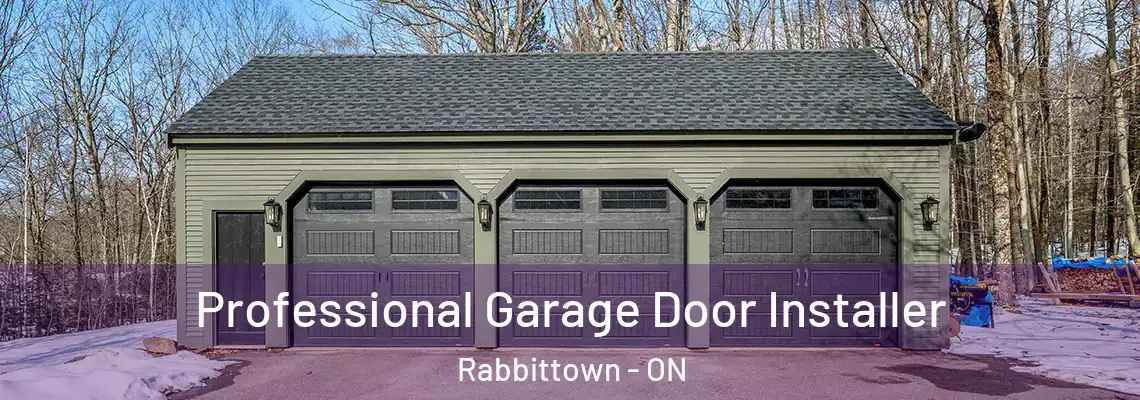 Professional Garage Door Installer Rabbittown - ON