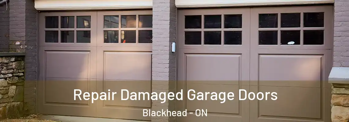 Repair Damaged Garage Doors Blackhead - ON