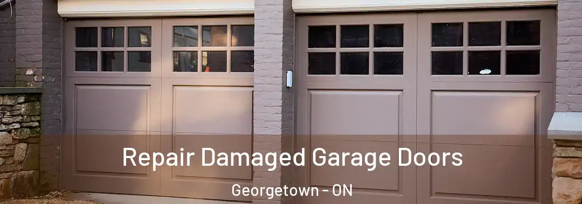 Repair Damaged Garage Doors Georgetown - ON
