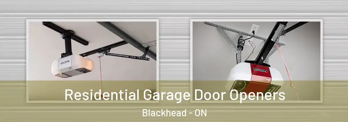 Residential Garage Door Openers Blackhead - ON