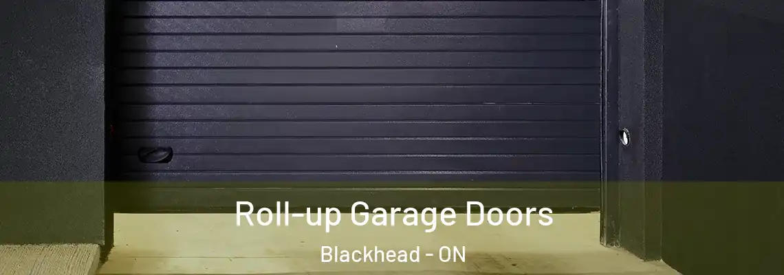 Roll-up Garage Doors Blackhead - ON
