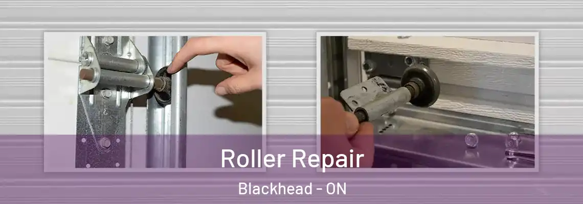 Roller Repair Blackhead - ON