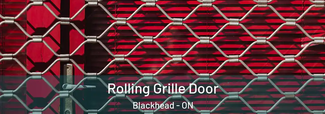 Rolling Grille Door Blackhead - ON