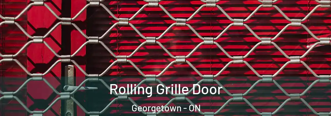 Rolling Grille Door Georgetown - ON