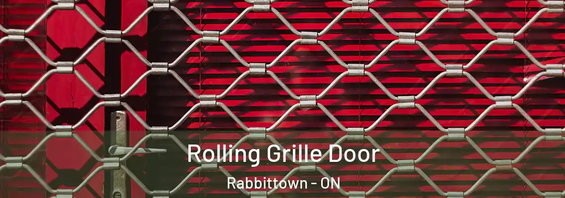 Rolling Grille Door Rabbittown - ON