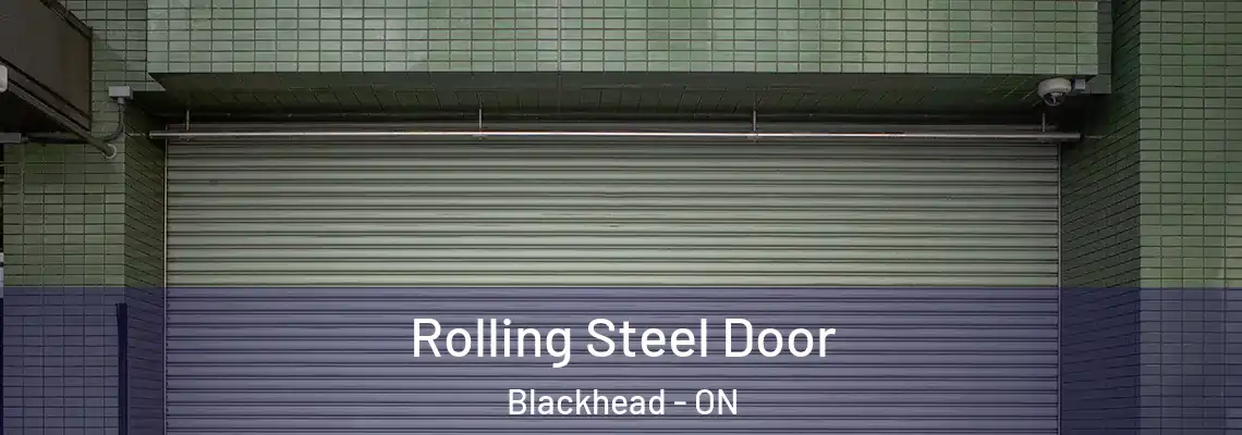 Rolling Steel Door Blackhead - ON