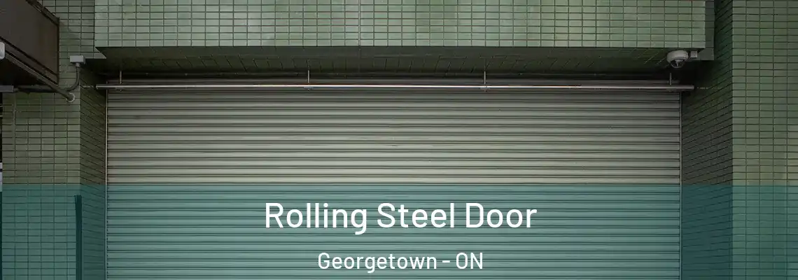 Rolling Steel Door Georgetown - ON