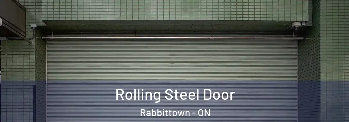 Rolling Steel Door Rabbittown - ON