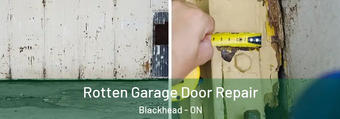 Rotten Garage Door Repair Blackhead - ON