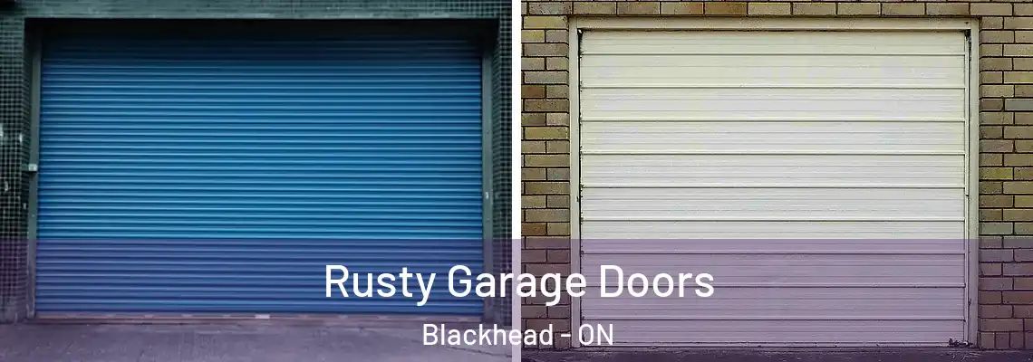 Rusty Garage Doors Blackhead - ON