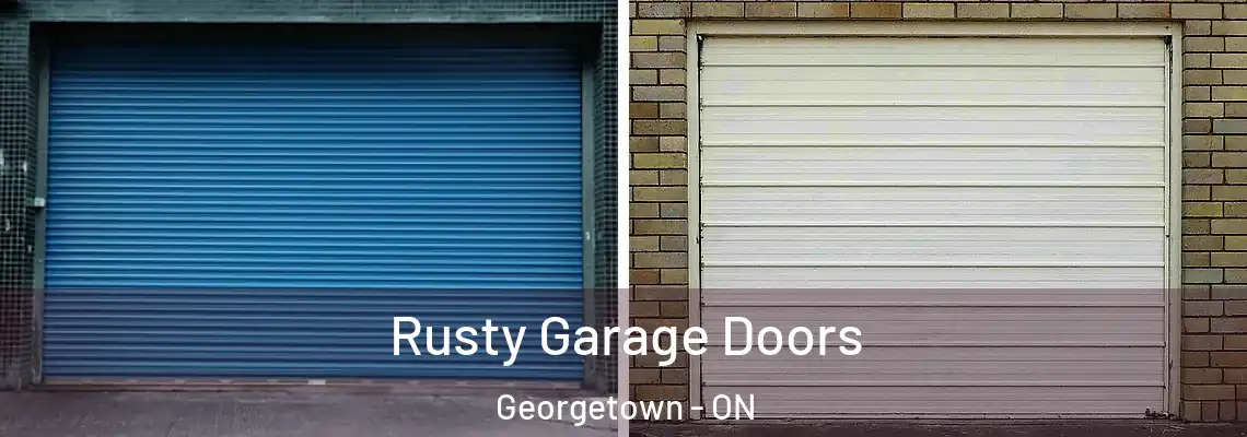 Rusty Garage Doors Georgetown - ON