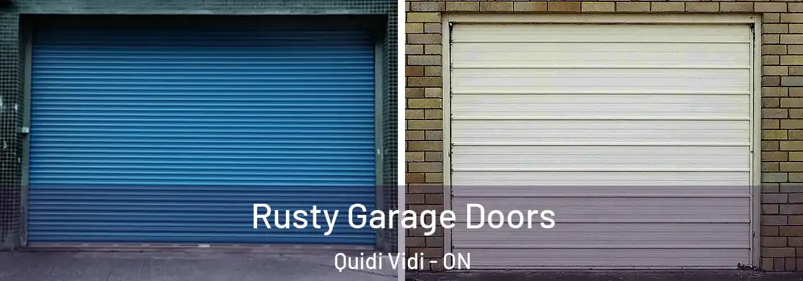 Rusty Garage Doors Quidi Vidi - ON