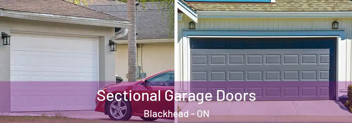 Sectional Garage Doors Blackhead - ON