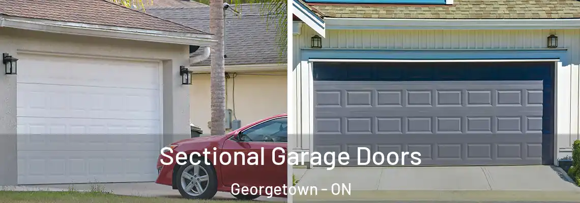 Sectional Garage Doors Georgetown - ON