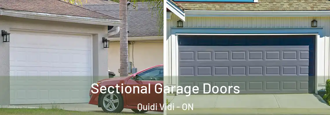 Sectional Garage Doors Quidi Vidi - ON