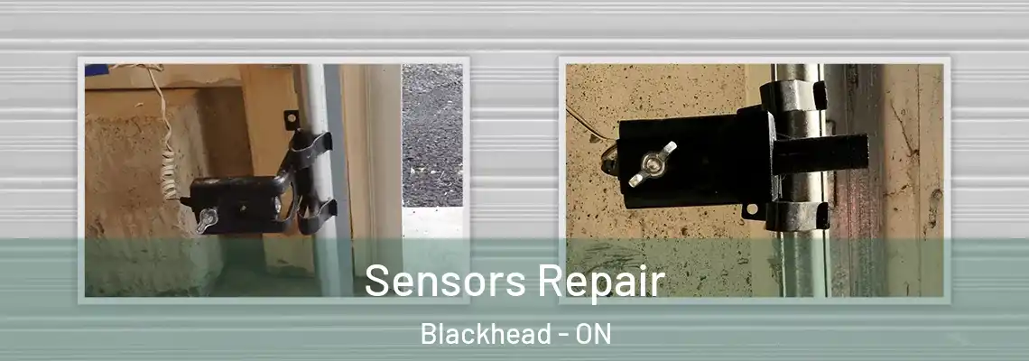 Sensors Repair Blackhead - ON