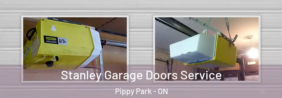 Stanley Garage Doors Service Pippy Park - ON