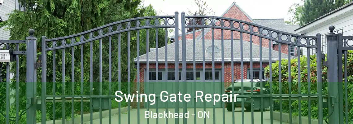 Swing Gate Repair Blackhead - ON